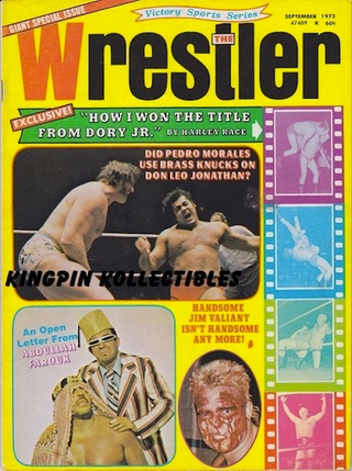 Illustration for article titled These Old Pro Wrestling Magazines Are Delightful